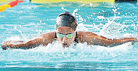 Damini raises bar