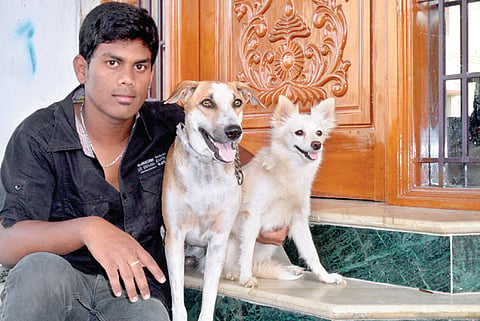 Mongrel Jack from Madurai could be nominated cutest Indian dog
