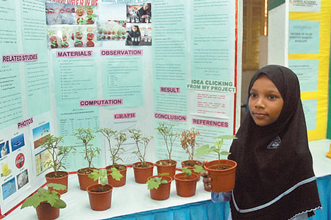 Young scientists honoured at expo