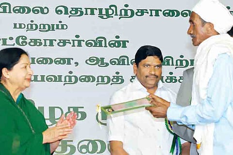 Nilgiris tea gets a Rs 15 crore push from Jaya