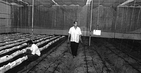 Reaping the benefits of an automatic hi-tech farm