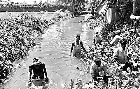 Disgruntled ryots desilt Radha canal