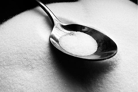 The Bitter Story Behind Sugar 