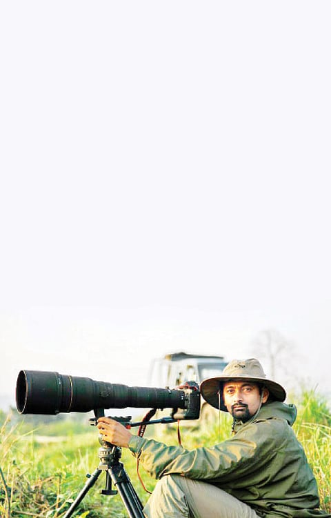 Diaries from the Wilderness