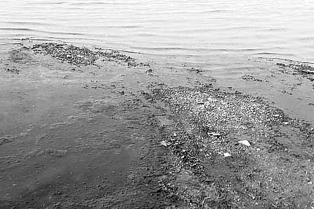 Industrial effluents find their way into HDR