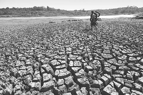 Full impact of the drought to unfold over next 4 to 5 years