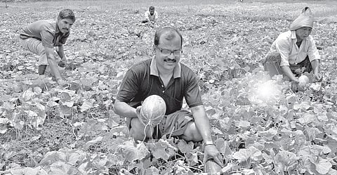 Approaching dyslexia with agronomy
