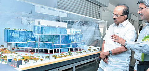 Food production will be normal this year: KV Thomas