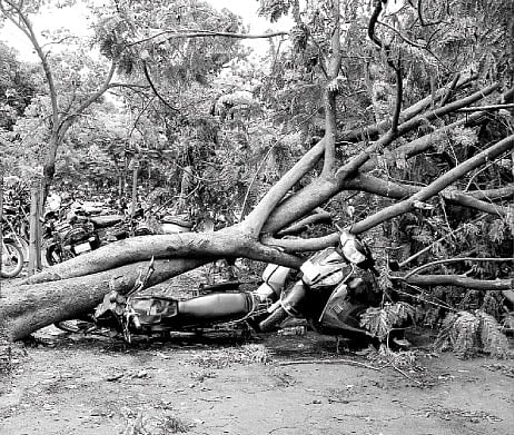 Gales destroy 54 houses in Davangere, boy killed in Athani