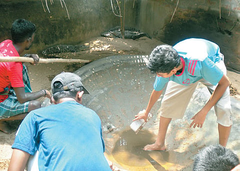 Wanna be a zoo-keeper for a day?