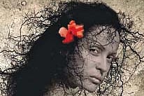 Tale of revenge from beyond the grave