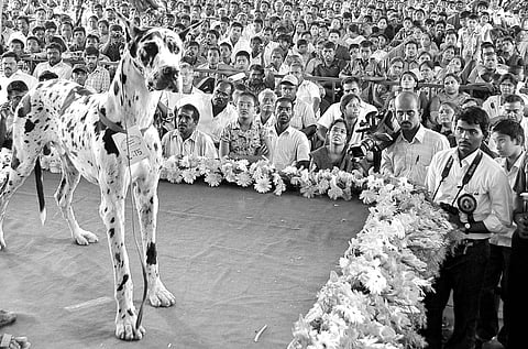 Jack climbs to top at Yelagiri show