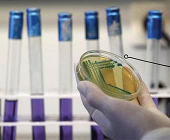 Institutes to generate more lab technicians on the cards