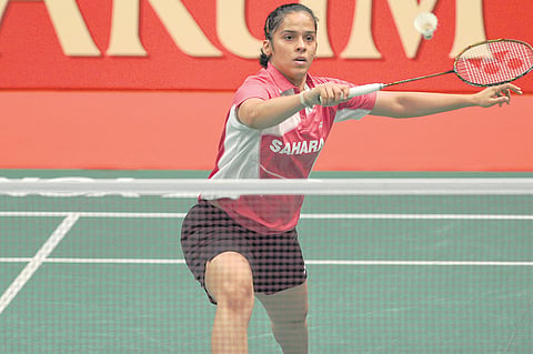 Saina on Marin drive