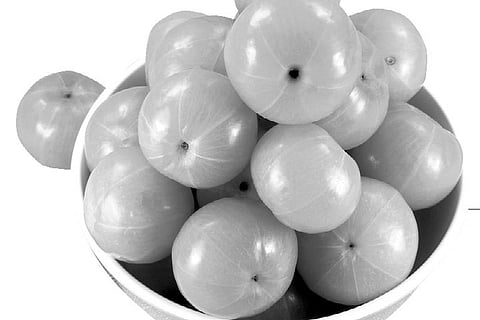 Amla for eternal youth