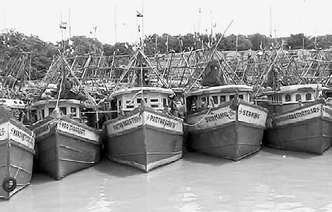 Fishing harbour wallows in neglect