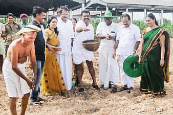 Paddy fields to bloom in waste land