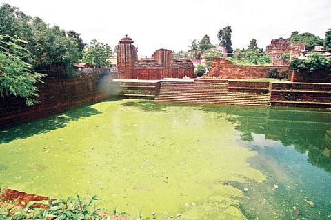 Neglected, temple tanks going to seed