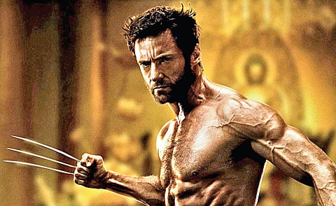 The Wolverine (English)