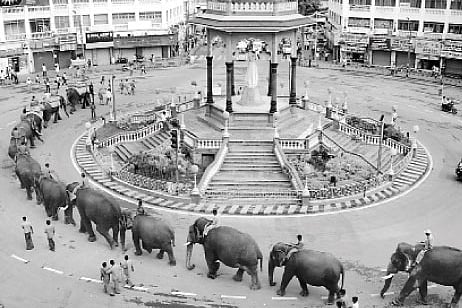 14 jumbos finalised for Mysore Dasara