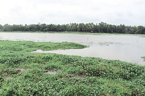 Renovation and deepening of Manjaly Canal stagnant