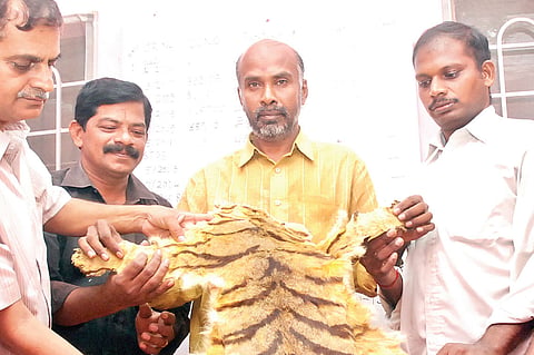 Death summons for the tiger 