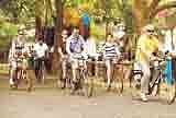 Explore Kochi through 'seat in a coach'