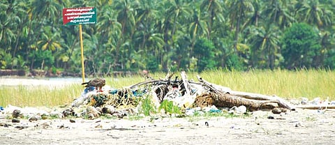 Management plan for Kadalundi-Vallikunnu Community Reserve on track
