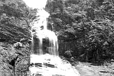 Tourism potential of Khandadhar waterfall remains untapped, visitors footfall dips