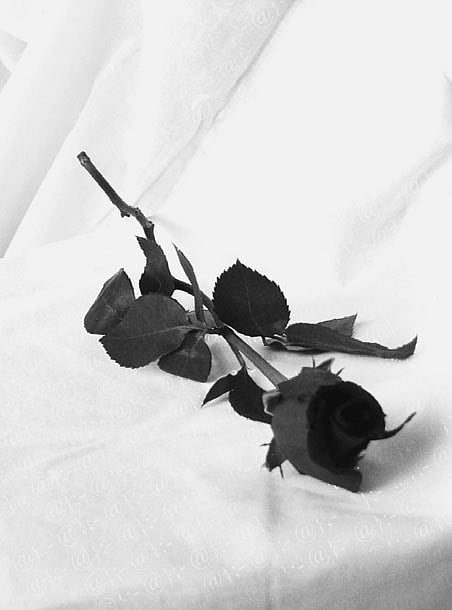 A Funeral Before Death