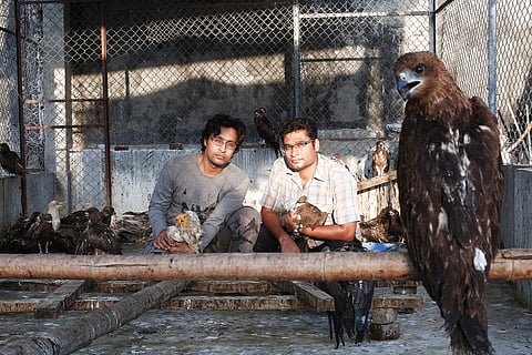 Friends of Feathers Come to The Rescue