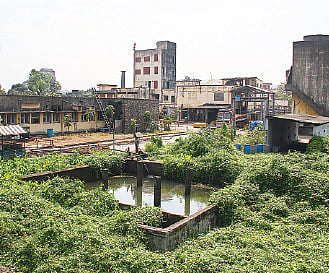 Eloor: An Existence Blanketed In Smog