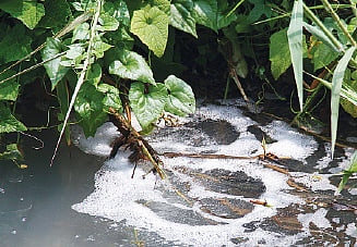 Kuzhikandam ‘Creek’ing Under Toxic Waste
