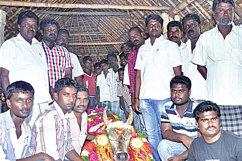 Tamers in Tears as Appu’s Run Ends