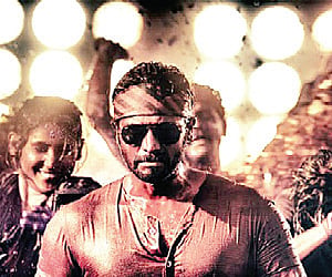 A Chequered Year for Sandalwood  