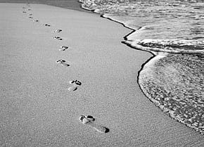 There is Only One Fact: Impermanence