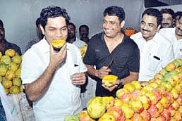 It's Raining Mangoes at Marine Drive
