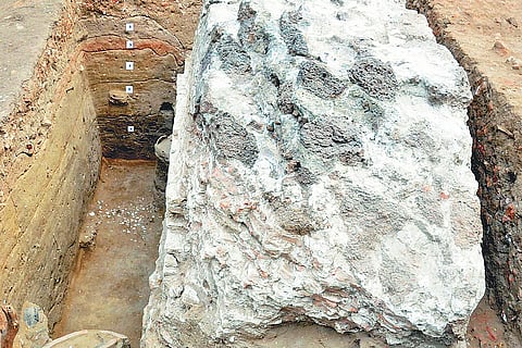 Unravelling the Pulicat puzzle