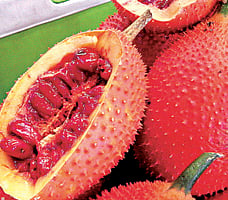Gac Fruit to Be Sold in Bangalore Soon