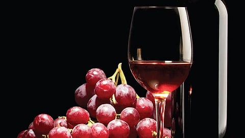 Maharashtra Turns into Wine Paradise this Winter