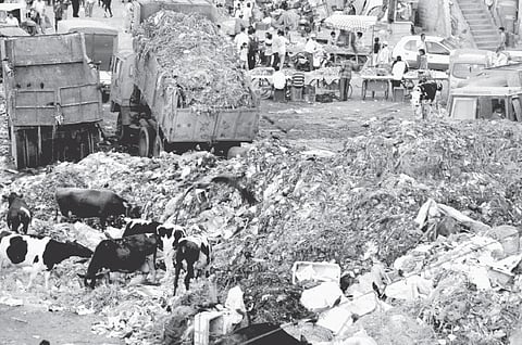 Compost and Lessen Burden of BBMP, Says Citizen