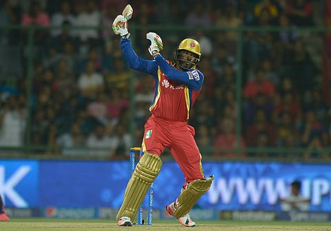 Royals Win Toss, Opt to Bowl Against RCB