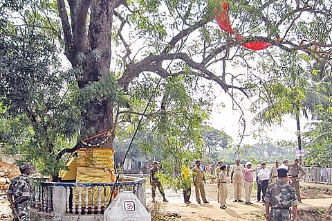 Daru for Lord Jagannath Identified at Kharipadia 