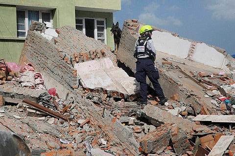 Kathmandu A rescue worker from USAID along with a sniffer dog looks for survivors at the site of a building that collapsed in an earthquake in Kathmandu Nepal Tuesday May 12 2015. (AP)