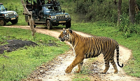 Tourism, Forest Deparment Lock Horns Over Road Inside Kali Tiger Reserve