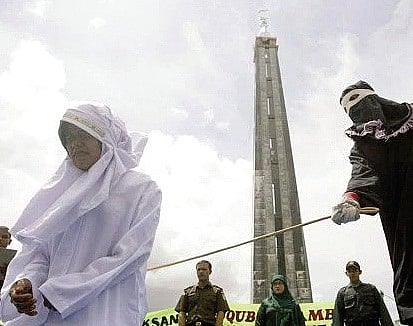 Shake the Sheikhs