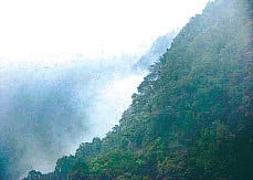 Getting Drenched in the Misty Green Cherrapunji of the South 