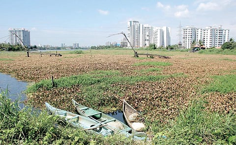 A view of the apartment complexes in Chilavannoor which have been built very close to the banks of the lake  Albin Mathew