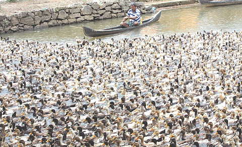 Image used for representational purposes. 