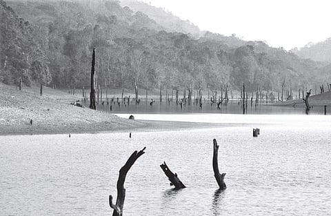 A view of Mullaperiyar  catchment area and reservoir| Vincent PulickaL